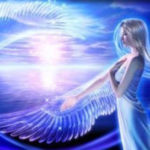 Meet your Posher, Coco